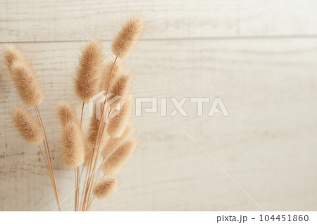 花瓶にドライフラワー　ナチュラルな植物の背景素材 104451860