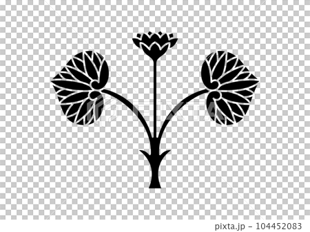 二葉葵 京都松尾大社 二葉葵 京都松尾大社 104452083