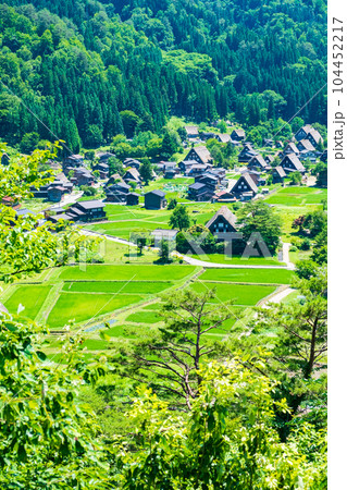 夏の白川郷 104452217
