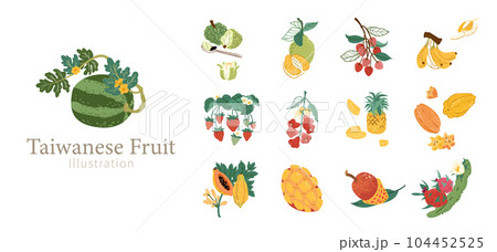 Taiwanese local fruit element set 104452525