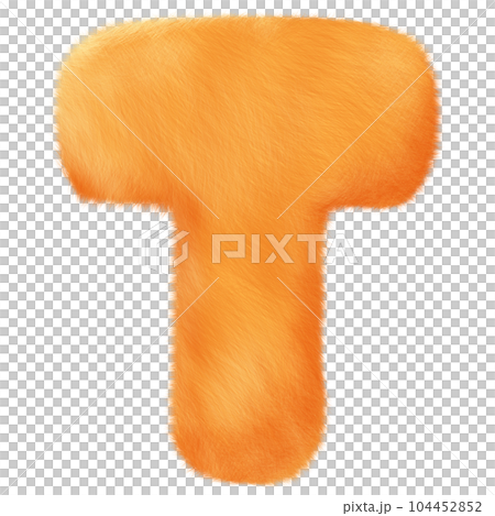 Orange fluffy alphabet cute and funny for children illustration. 104452852
