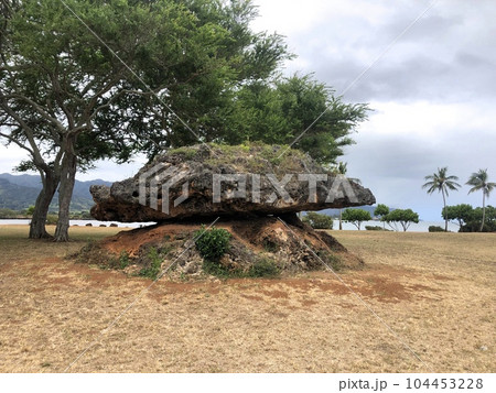 『ハワイ』』ハレイワパワースポット,ポハクラナイ 『ハワイ』』ハレイワパワースポット,ポハクラナイ 104453228