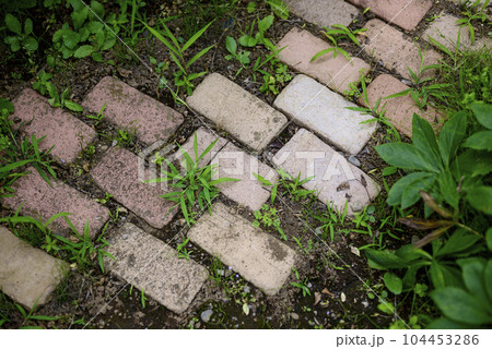 レンガの歩道 公園 庭 イメージ 104453286