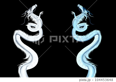 双竜 104453648