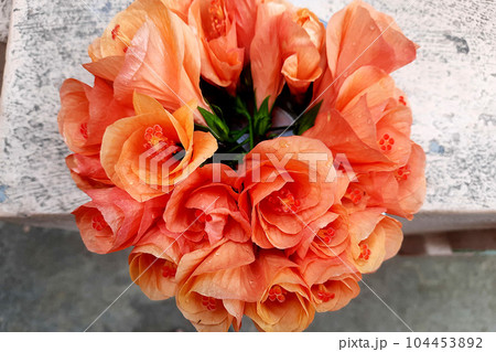 Bouquet of Pink Hibiscus Flowers 104453892