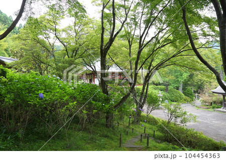 久安寺 〈高野山真言宗　大澤山・花の寺〉【大阪府池田市】 104454363
