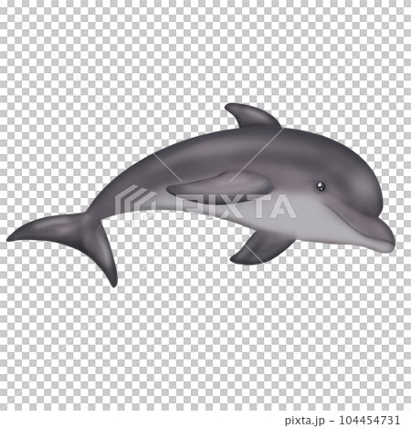 dolphin in the water, plastic bag, save the ocean dolphin in the water, plastic bag, save the ocean 104454731