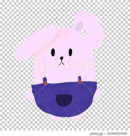 pink Rabbit 104455049