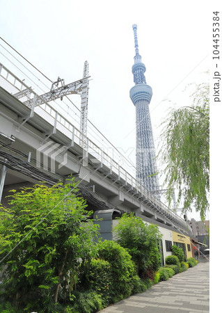 東京スカイツリーと北十間川沿いの東京ミズマチ 東京スカイツリーと北十間川沿いの東京ミズマチ 104455384