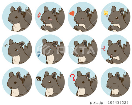 エゾリスの表情アイコンセット(夏毛) エゾリスの表情アイコンセット(夏毛) 104455525