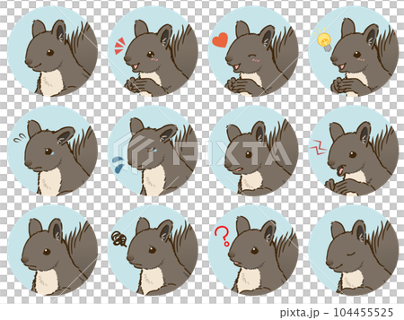 エゾリスの表情アイコンセット(夏毛) エゾリスの表情アイコンセット(夏毛) 104455525