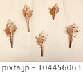 白い貝殻を並べてみました 104456063