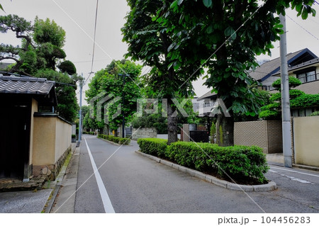 板橋区常盤台一丁目の家並み 104456283
