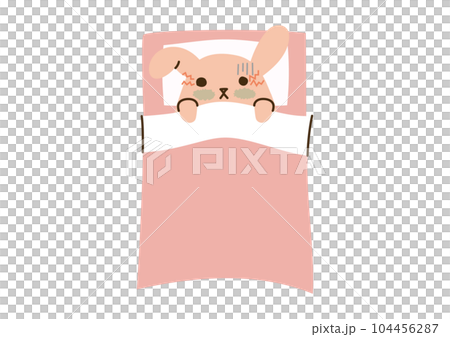 Sleepless rabbit, whole body, pink 104456287
