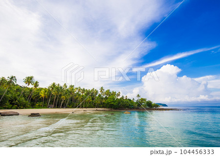 Island sea beach coconut palm tree against blue sky with cloud Island sea beach coconut palm tree against blue sky with cloud 104456333