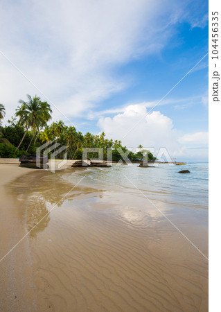 Island sea beach coconut palm tree against blue sky with cloud Island sea beach coconut palm tree against blue sky with cloud 104456335