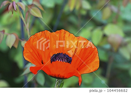 パステル調 ”オニゲシ” イラストイメージ パステル調 ”オニゲシ” イラストイメージ 104456682