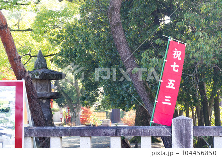 神社の七五三 104456850