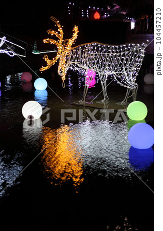 公園の池に灯るトナカイのイルミネーション 公園の池に灯るトナカイのイルミネーション 104457210