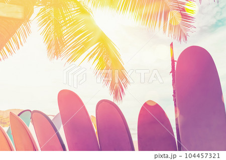 Surfboard and palm tree with blue sky on beach background. Travel adventure sport and summer vacation concept. Vintage tone filter effect color style. 104457321