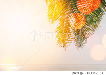 Tropical palm tree with sun light on sunset sky and cloud abstract background. Summer vacation and nature travel adventure concept. Vintage tone filter effect color style. 104457331