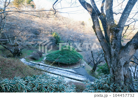 福島県　二本松市　冬　二本松城・霞ヶ城　傘松 104457732