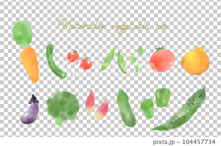 Watercolor style vegetable illustration set Watercolor style vegetable illustration set 104457734