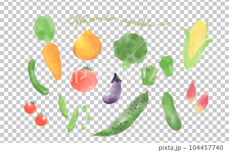 Watercolor style vegetable illustration set Watercolor style vegetable illustration set 104457740
