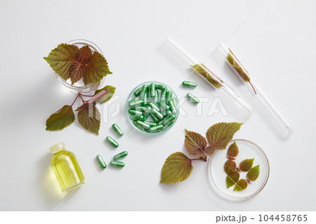 Many green capsules are contained inside a petri dish. A jar of yellow liquid and test tubes of beefsteak leaves are displayed. Beefsteak Plant (Perilla frutescens) is used to make medicine 104458765