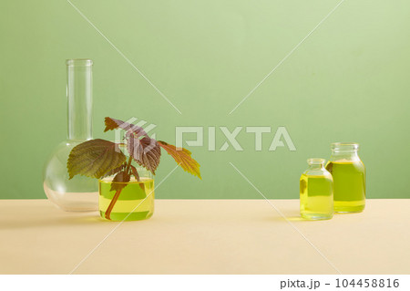 Over the beige plane featured a flat-bottom florence flask, beaker and glass jars of yellow fluid. Blank space in the middle for product promotion of Beefsteak Plant (Perilla frutescens) extract Over the beige plane featured a flat-bottom florence flask, beaker and glass jars of yellow fluid. Blank space in the middle for product promotion of Beefsteak Plant (Perilla frutescens) extract 104458816