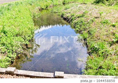 姫川源流域の姫川の淵に映り込む初夏の空 姫川源流域の姫川の淵に映り込む初夏の空 104458850