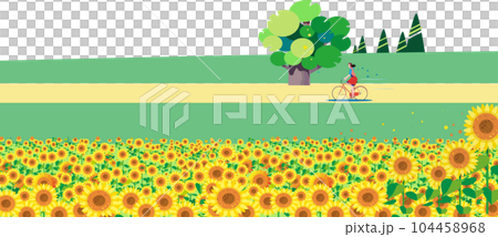 在向日葵田前的路上享受騎自行車的女人 104458968