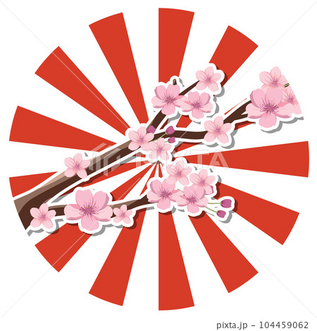 Sakura cherry blossom Japanese nation tradition symbol 104459062