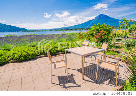 (山梨県)夏の花々が咲く大石公園テラス 富士山 (山梨県)夏の花々が咲く大石公園テラス 富士山 104459503