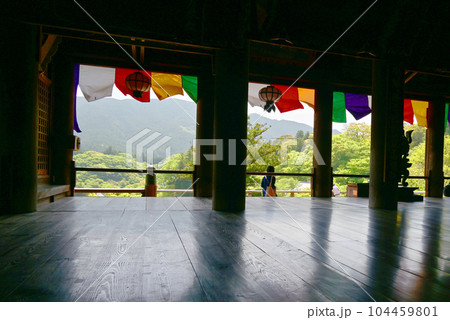 長谷寺　牡丹 104459801