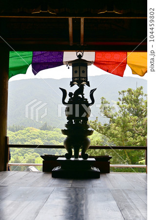 長谷寺　牡丹 104459802