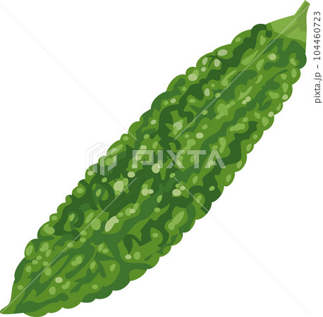 夏野菜ゴーヤーのイメージイラスト 夏野菜ゴーヤーのイメージイラスト 104460723