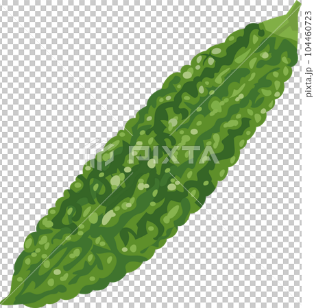 夏野菜ゴーヤーのイメージイラスト 夏野菜ゴーヤーのイメージイラスト 104460723