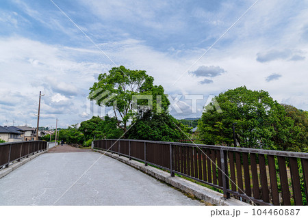 奈良住宅街の夏　歩道橋とひと際目立つ楠やその他の公園樹上空に広がった空② 104460887