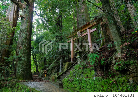 和歌山県田辺市 中辺路町 継桜王子(野中の一方杉) 和歌山県田辺市 中辺路町 継桜王子(野中の一方杉) 104461331