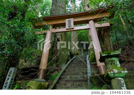 和歌山県田辺市 中辺路町 継桜王子（野中の一方杉） 104461336