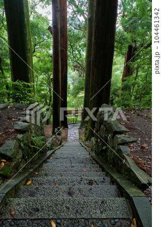 和歌山県田辺市 中辺路町 継桜王子（野中の一方杉） 104461342