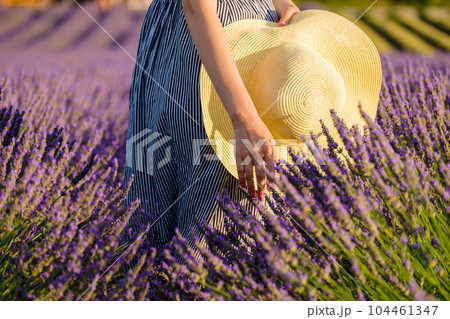 Amidst the fragrant of a lavender field, a girl's hands lovingly hold a straw hat.  104461347