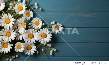 Elegant white chamomiles on a serene blue background Elegant white chamomiles on a serene blue background 104461565