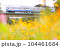 初夏の野川鉄橋を行く西武多摩川線の101系電車 104461684