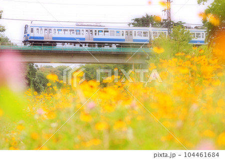 初夏の野川鉄橋を行く西武多摩川線の101系電車 初夏の野川鉄橋を行く西武多摩川線の101系電車 104461684