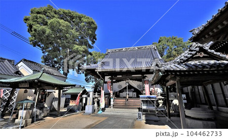 四国八十八箇所・第53札所「圓明寺」本堂（愛媛県松山市） 104462733