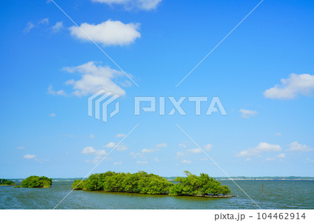 (茨城県)霞ヶ浦・沖の中州 (茨城県)霞ヶ浦・沖の中州 104462914