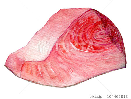 水彩イラスト　マグロの切り身　本マグロ 104463818