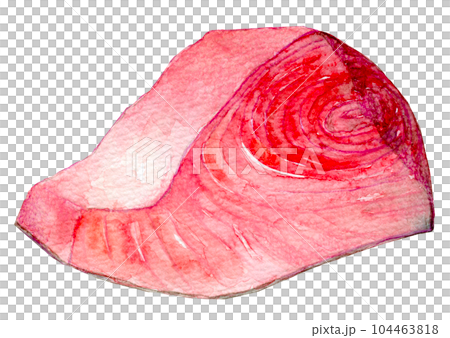 水彩イラスト　マグロの切り身　本マグロ 104463818